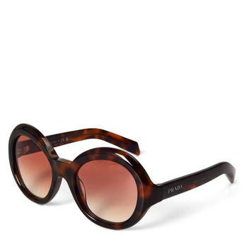 Women's Oversized Acetate Sunglasses