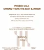 SKIN1004 Madagascar Centella Probio-Cica Glow Sun Ampoule 2pcs Bundle Set