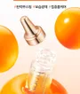 Cell Fusion C Salmon PDRN Ampoule Set Jumbo 2pcs Bundle Set