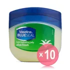 Vaseline Aloe Fresh Light Hydrating Jelly 250ml 10pcs Bundle Set
